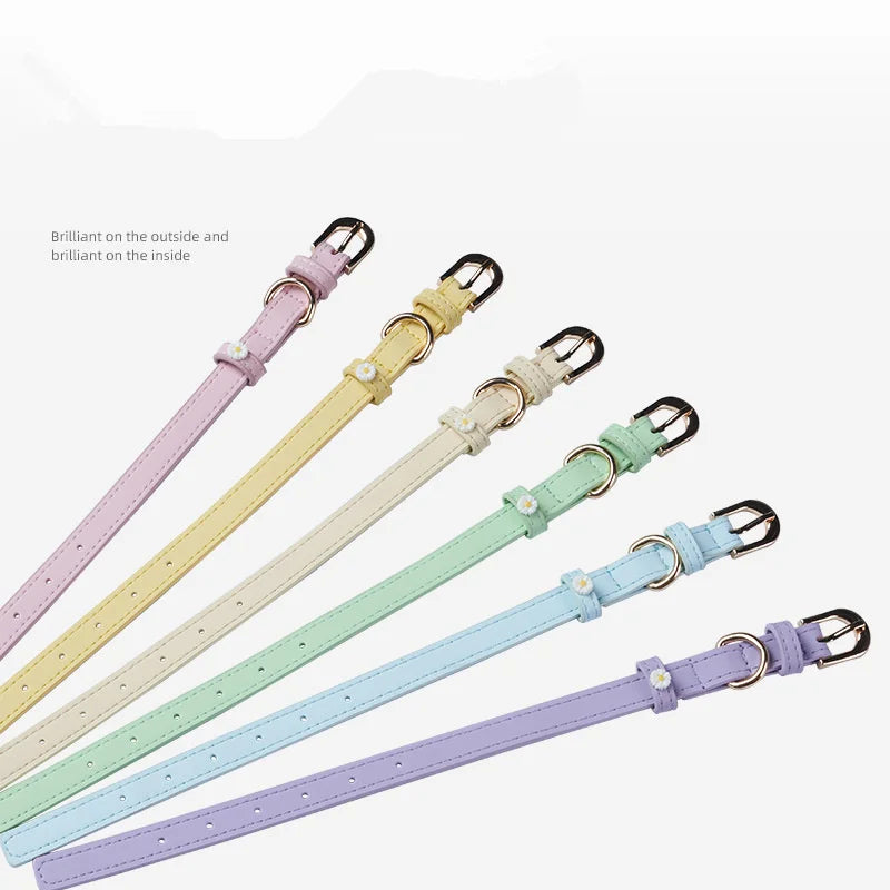 Pastel Daisy Pet Collar with Gold-Tone Buckle