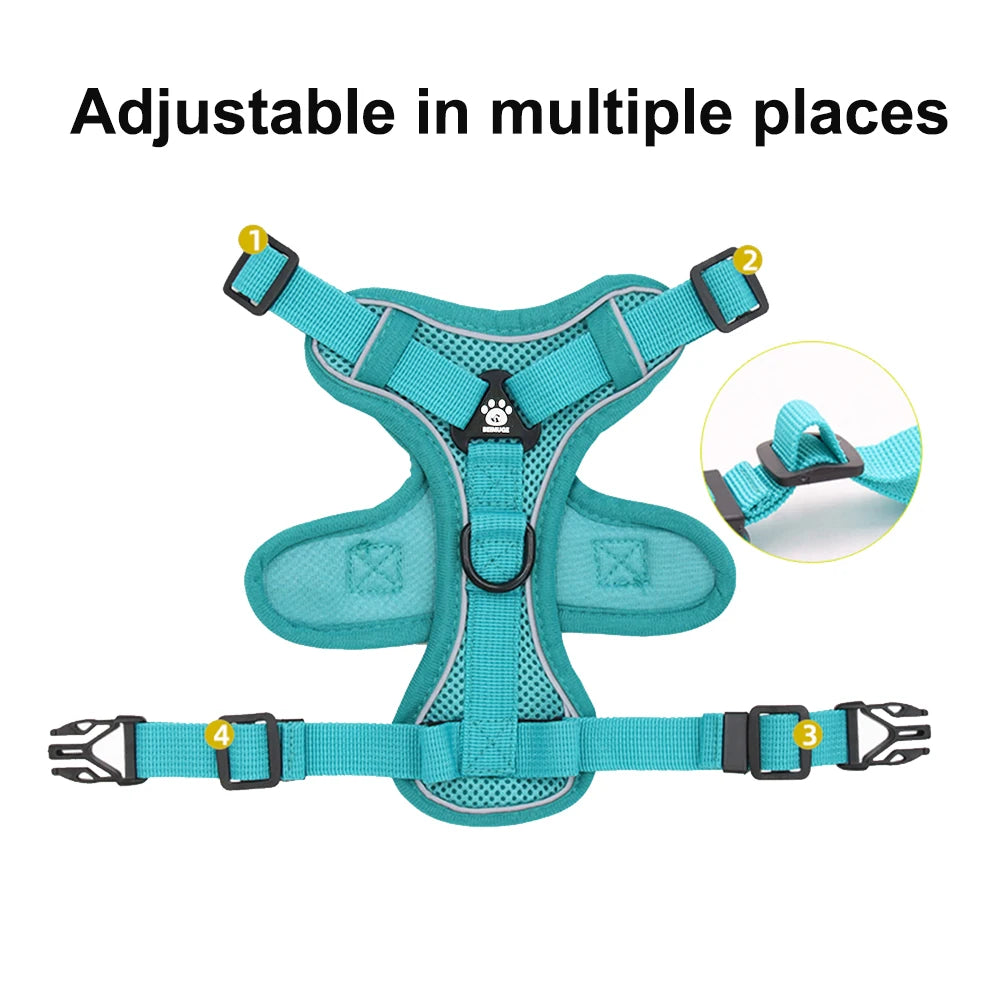 Adjustable Mesh Pet Harness & Coordinating Leash Set
