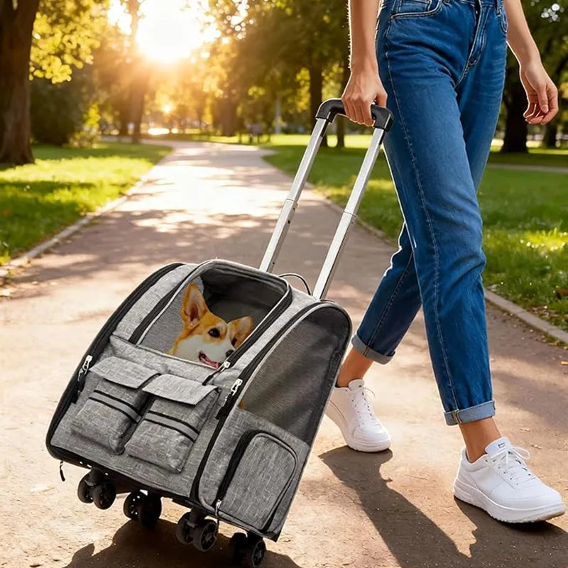 Rolling Pet Carrier Backpack with Telescopic Handle