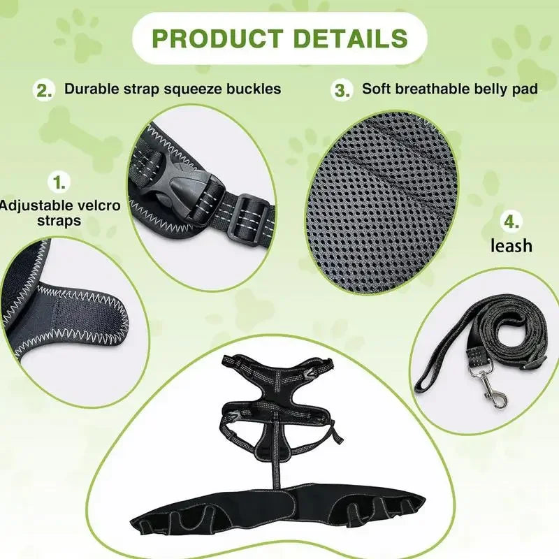 Dog Rear-Leg Wrap with Detachable Chest Harness