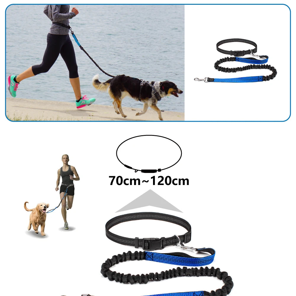 Waist-Belt Dog Leash Set with Bungee Sections