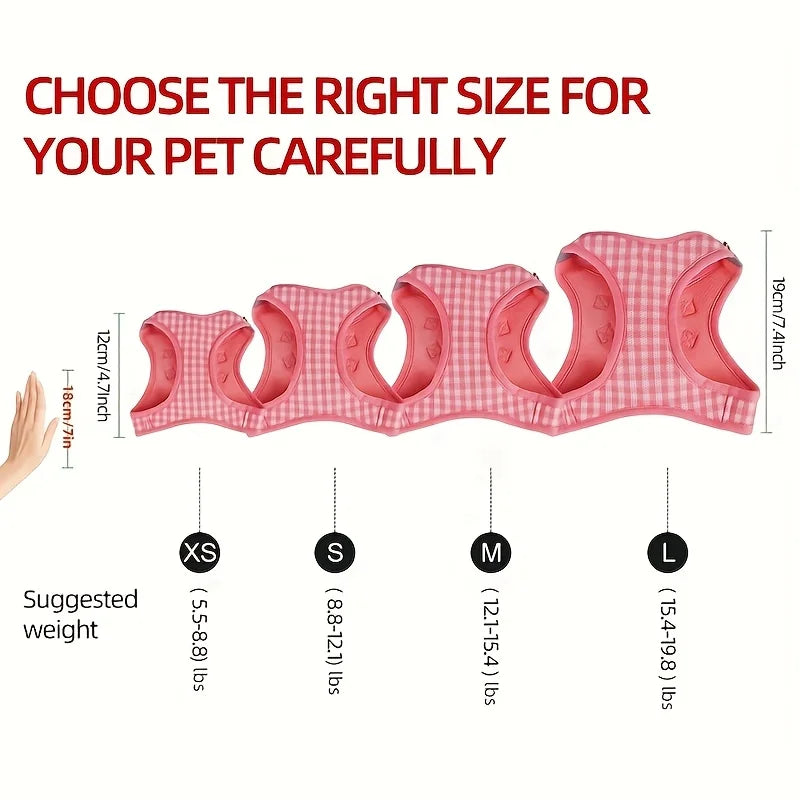 Gingham Cat Harness & Matching Leash Set