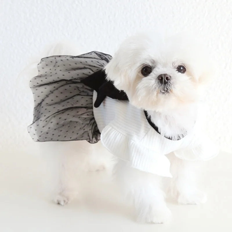 Black Bow Pet Occasion Outfit, Dress or Vest