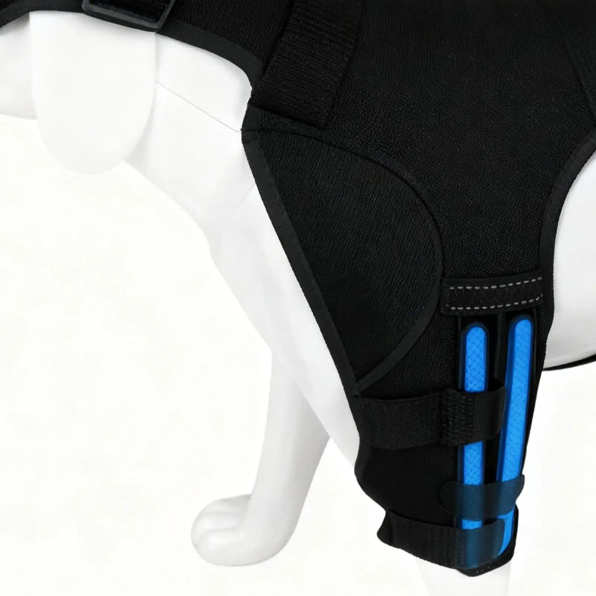 Adjustable Dog Rear-Leg Brace with Wraparound Harness