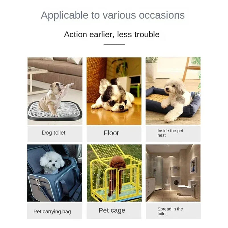 Disposable Puppy Training Pads, 10–100 Packs