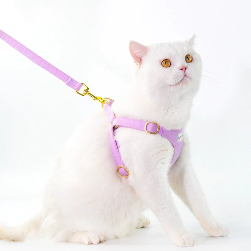 Suede-Look Pet Harness & Coordinating Leash Set
