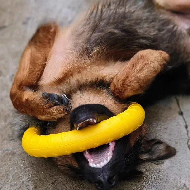 Textured Dog Fetch Ring, Small & Large Options