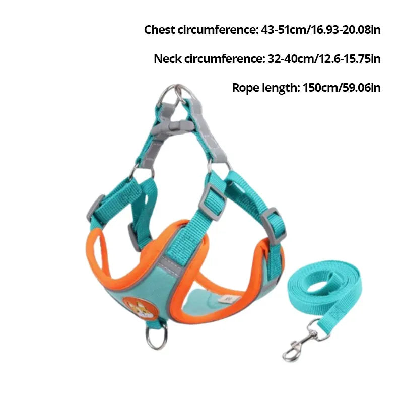 Adjustable Reflective Pet Harness & 150 cm Leash, Lake Blue
