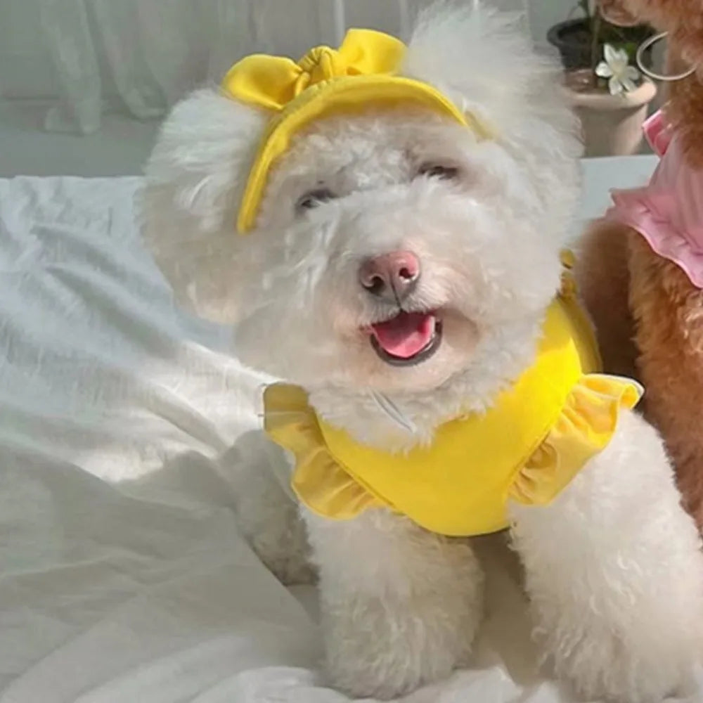 Heart-Cutout Ruffle Pet Top & Matching Hat Set