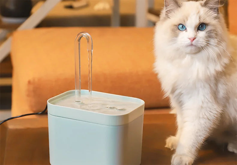 1.5L Pet Water Fountain with Adjustable Flow