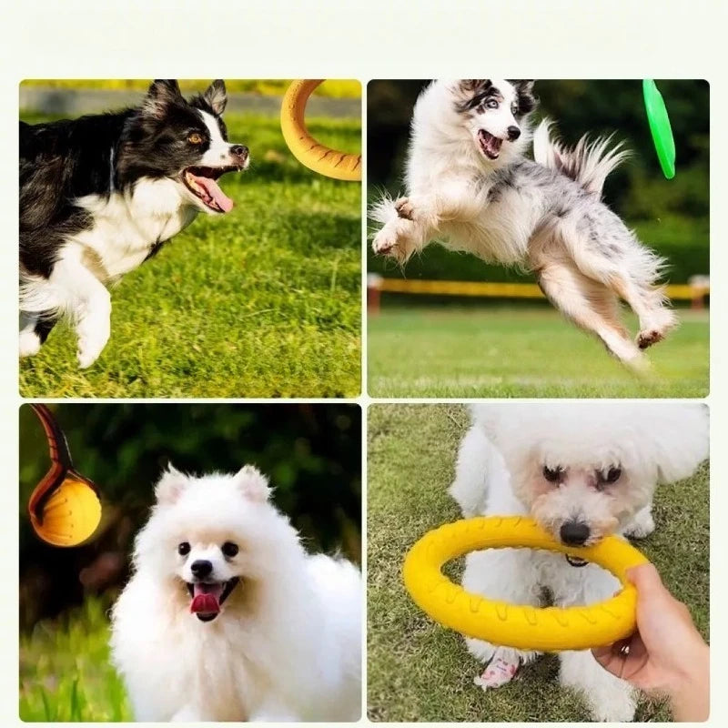 Textured Dog Fetch Ring, Small & Large Options