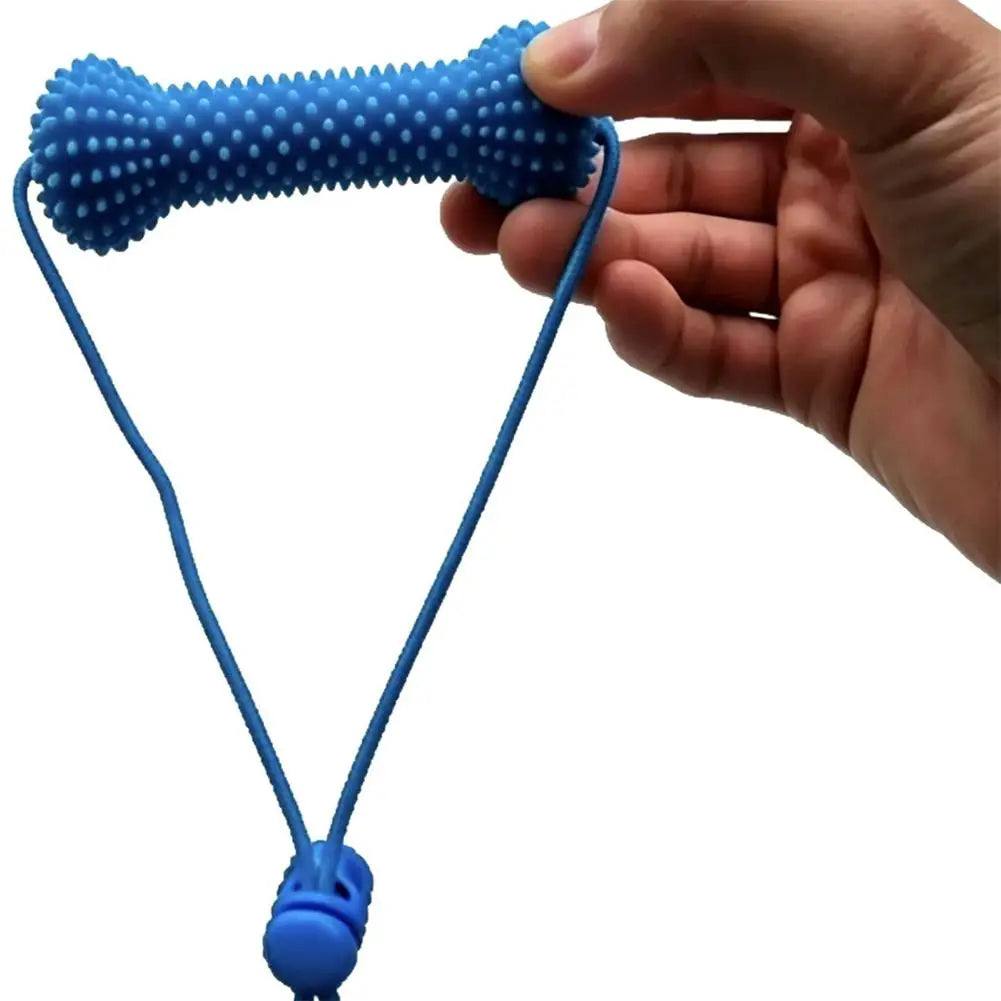 Blue Textured Bone Dog Toy with Play Cord