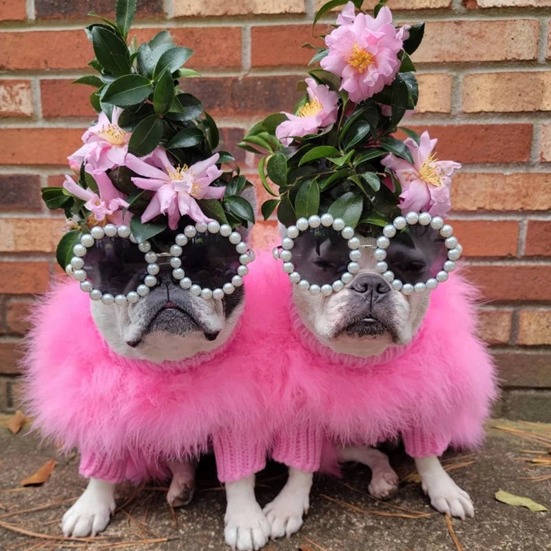 Feather-Trim Pet Sweater & Separate Pearl-Look Glasses Option