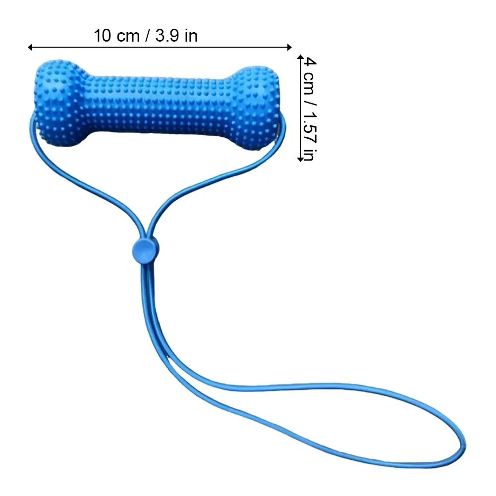 Blue Textured Bone Dog Toy with Play Cord