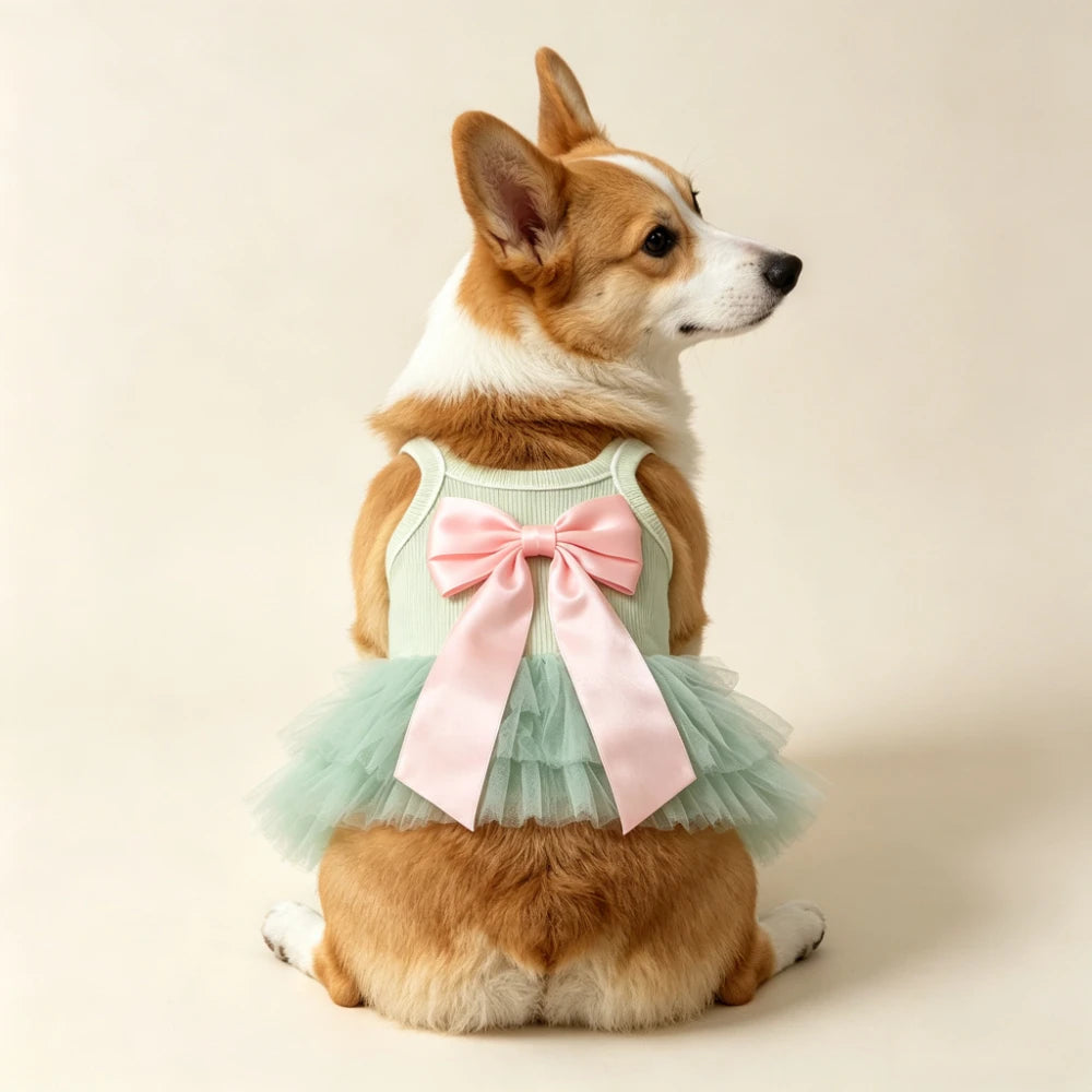 Mint Green Pet Tutu Dress with Pink Bow