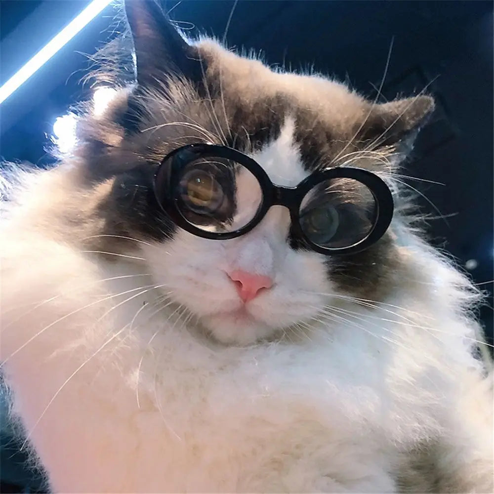 Round-Frame Pet Photo Glasses, Eyewear or Strap Option