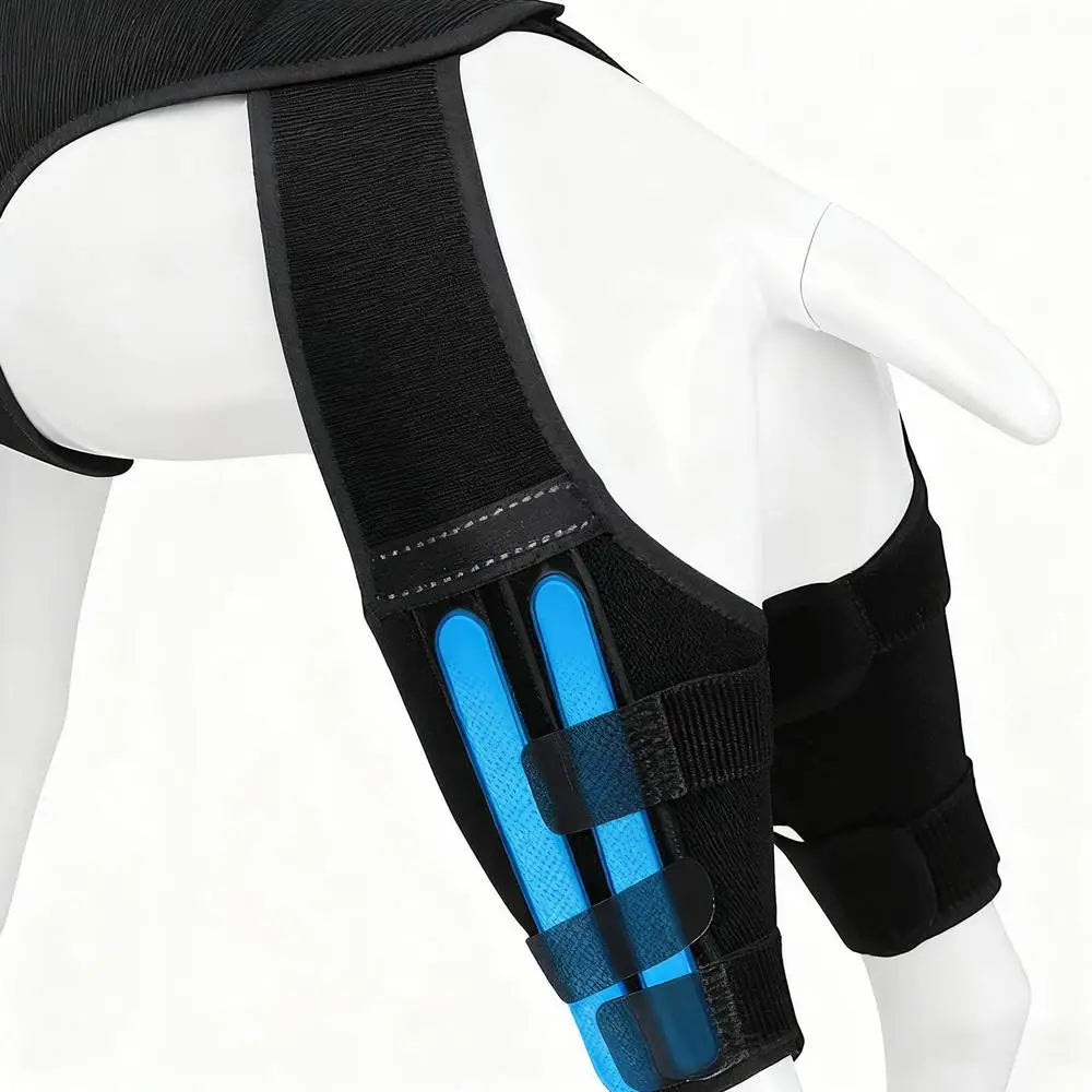 Adjustable Dog Rear-Leg Brace with Wraparound Harness