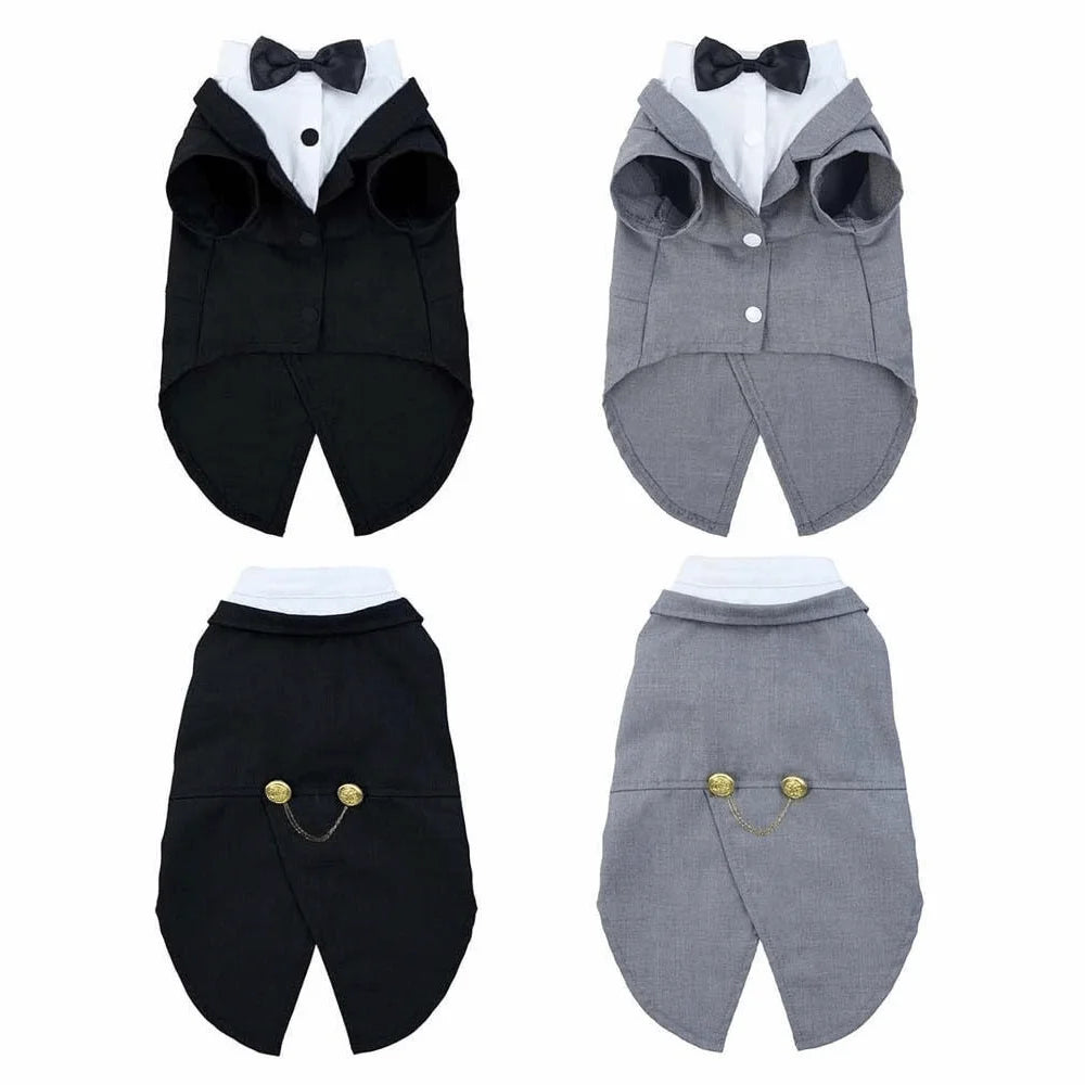 Bow-Tie Cat Tuxedo in Black or Grey