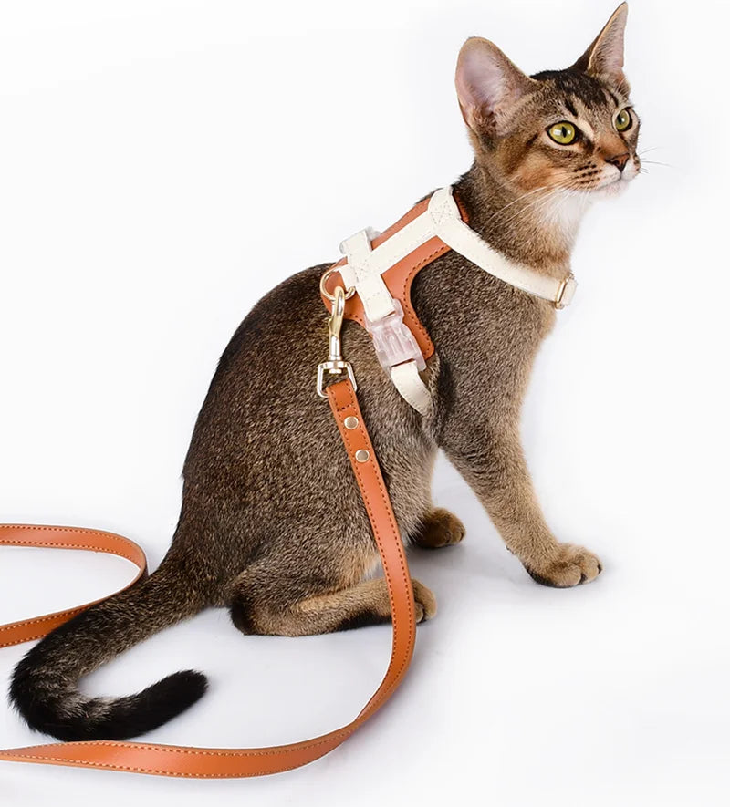 Adjustable Faux-Leather Pet Harness or Matching Leash