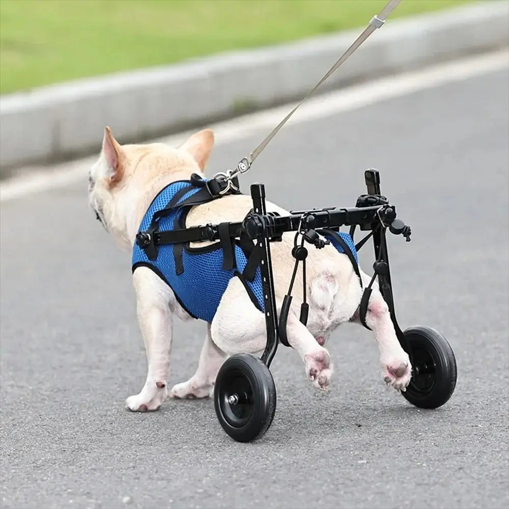 Adjustable Two-Wheel Rear-Support Pet Wheelchair