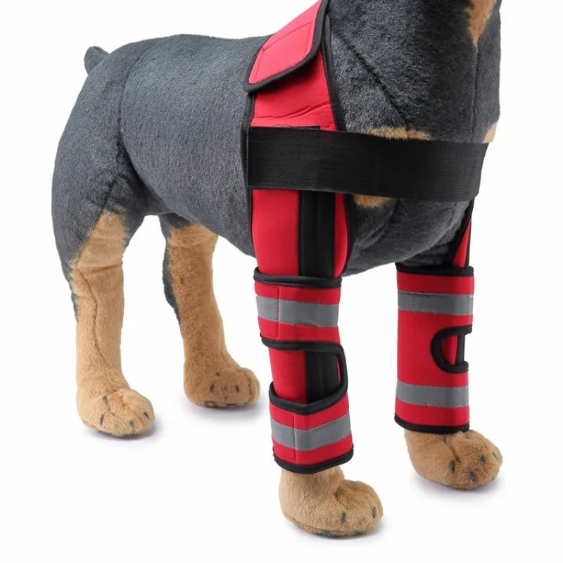 Dog Front-Leg Brace Set with Connecting Straps