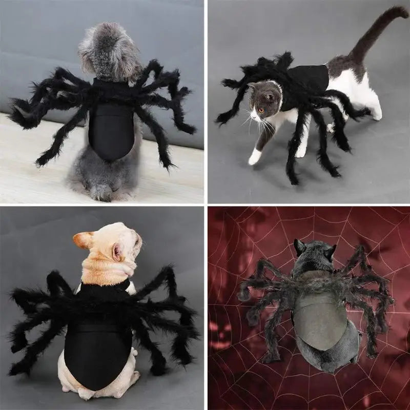 Fuzzy Spider Costume for Cats & Dogs