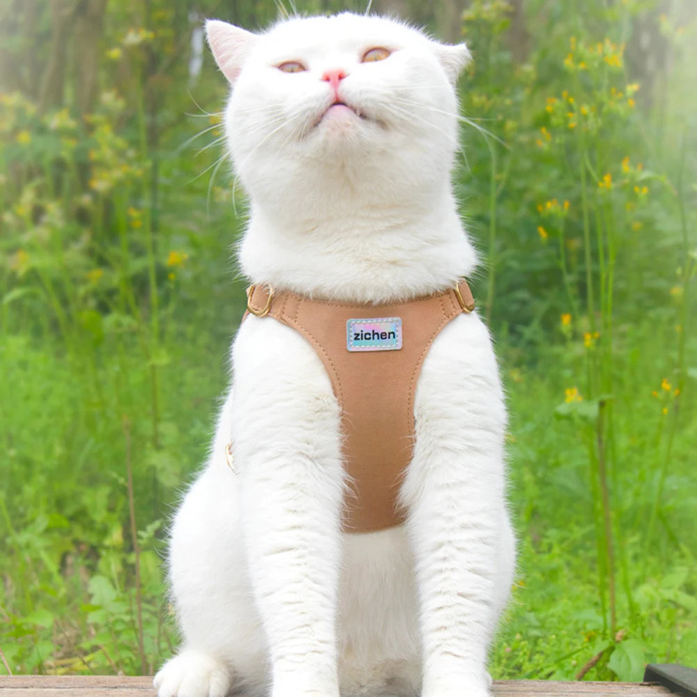 Caramel Adjustable Pet Harness & Leash Set