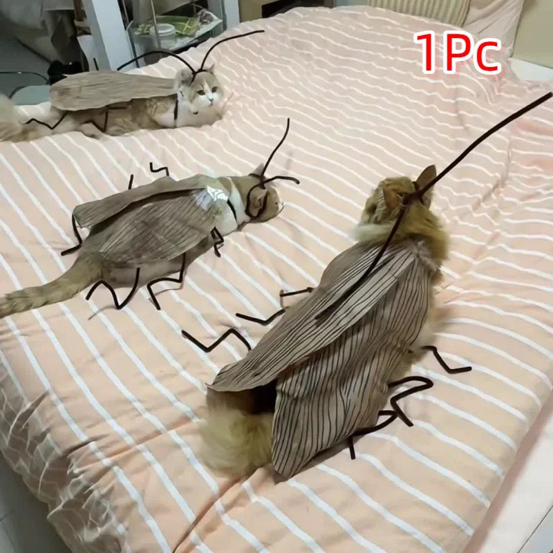 DIY Cockroach Cat Costume Material Kit