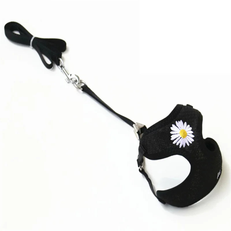 Daisy-Embroidered Mesh Pet Harness & Matching Leash Set