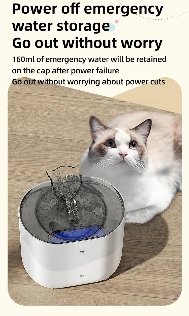 2L Pet Water Fountain with Removable Reservoir