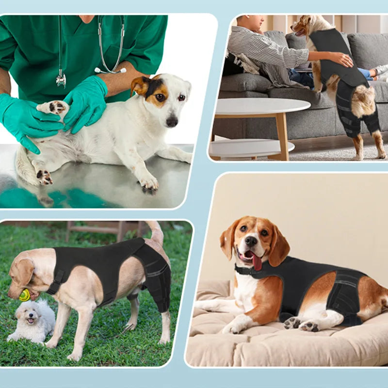 Dog Rear-Leg Brace with Body Strap