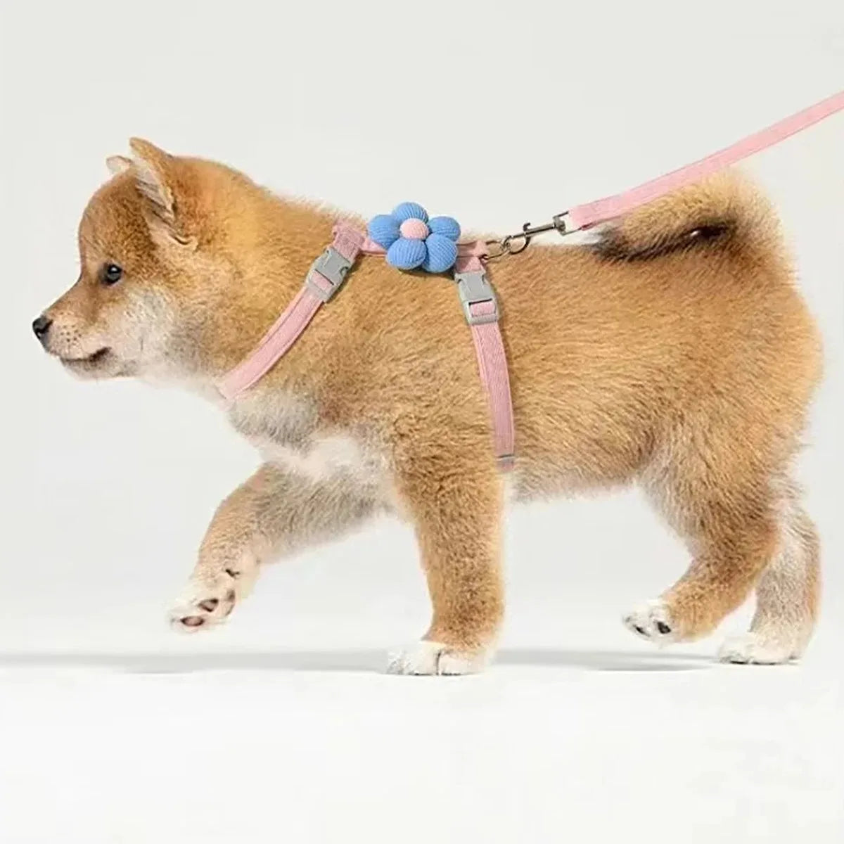 Flower-Detail Pet Harness & Matching Leash Set