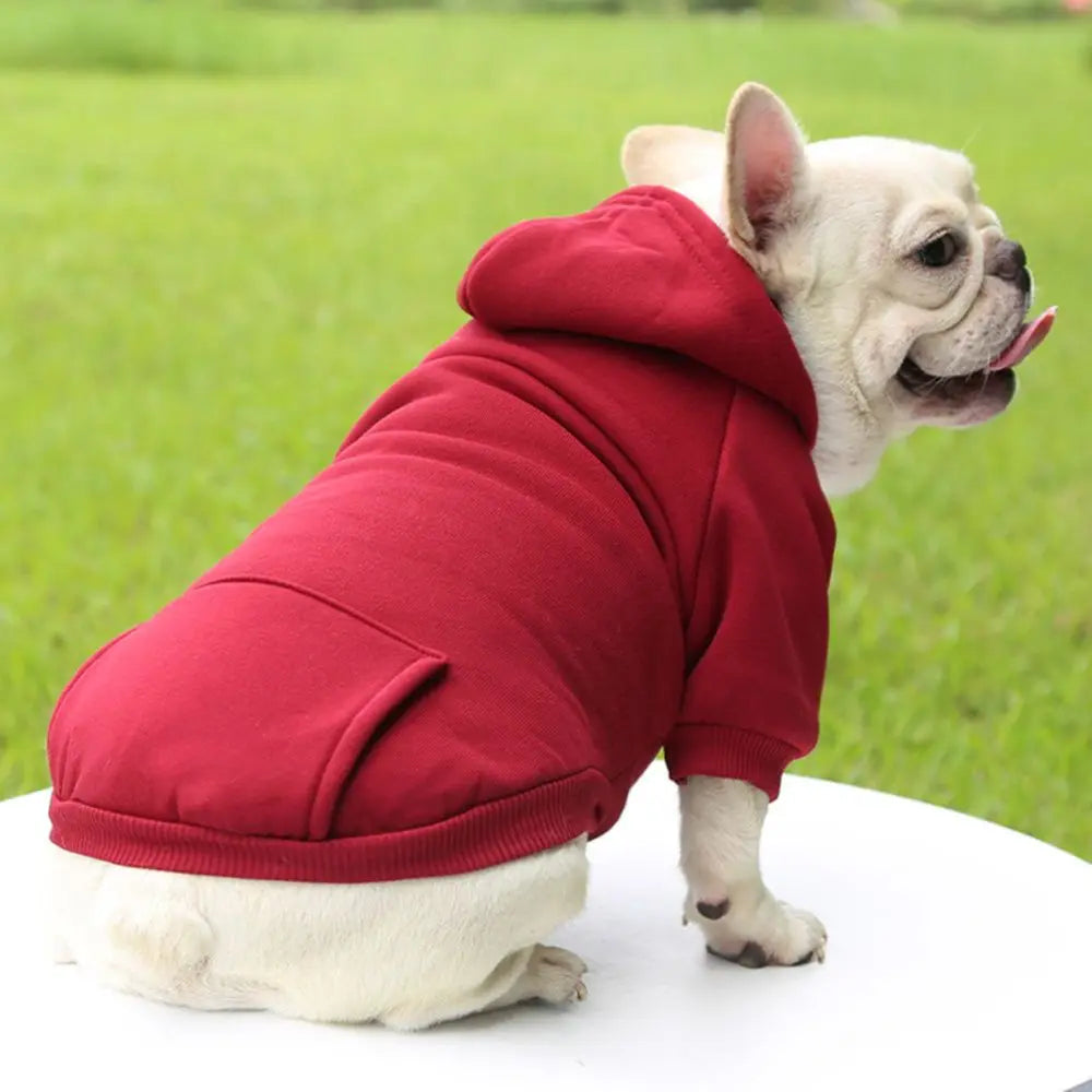 Solid-Color Pet Hoodie with Back Pocket