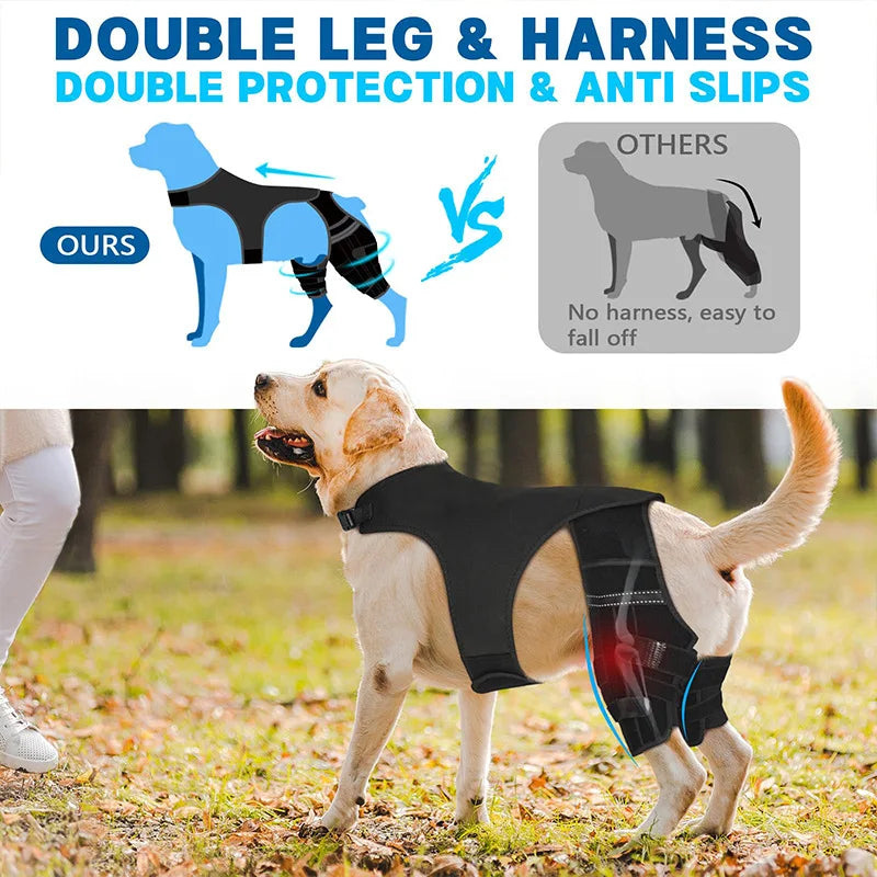 Dog Rear-Leg Brace with Body Strap