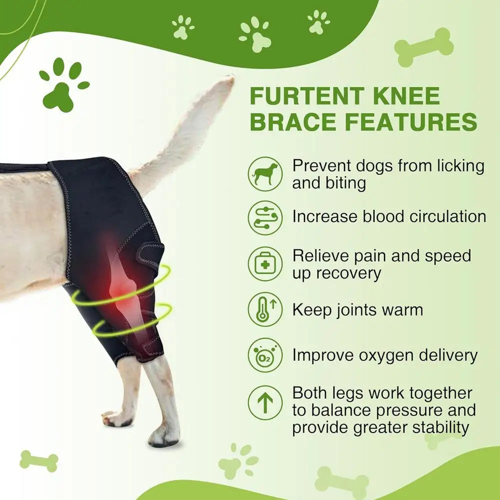 Dog Rear-Leg Wrap with Detachable Chest Harness