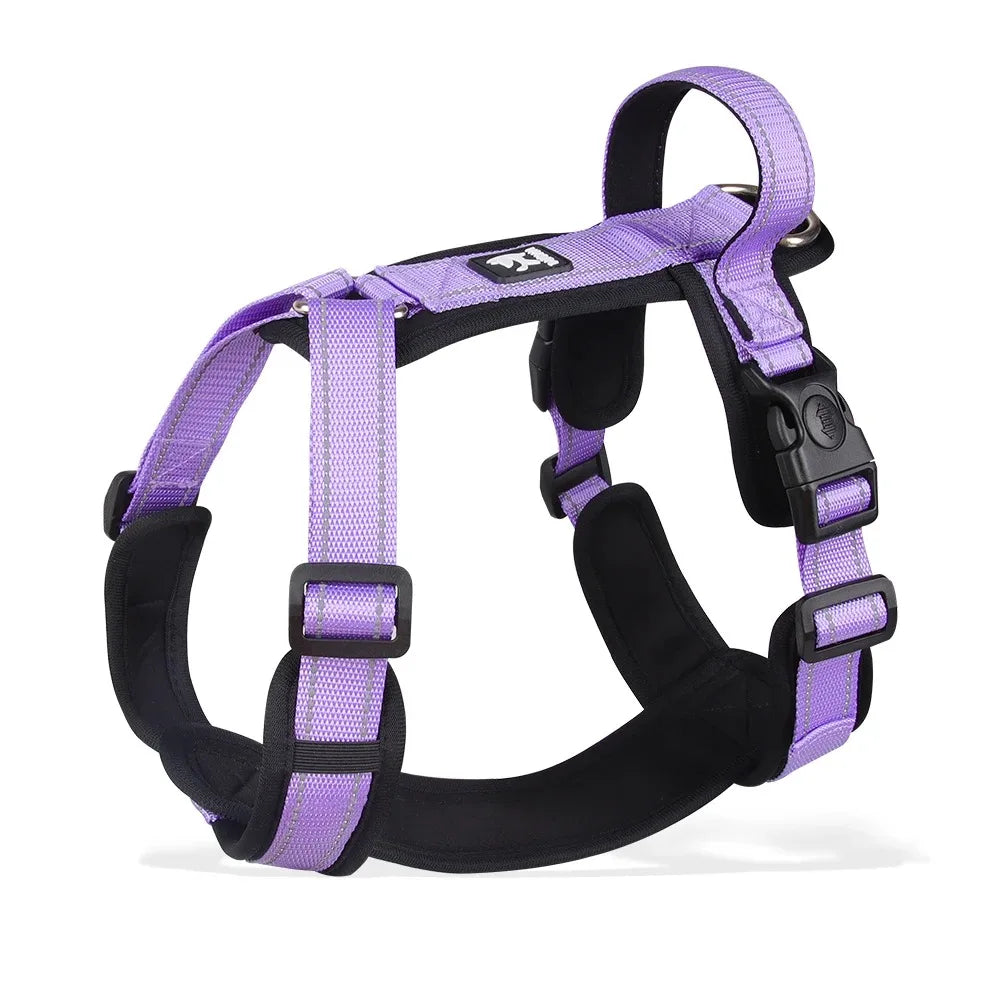 Adjustable Padded Dog Harness with Reflective Stitching