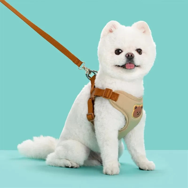 Bear-Detail Pet Harness & Leash Set with Mesh Lining