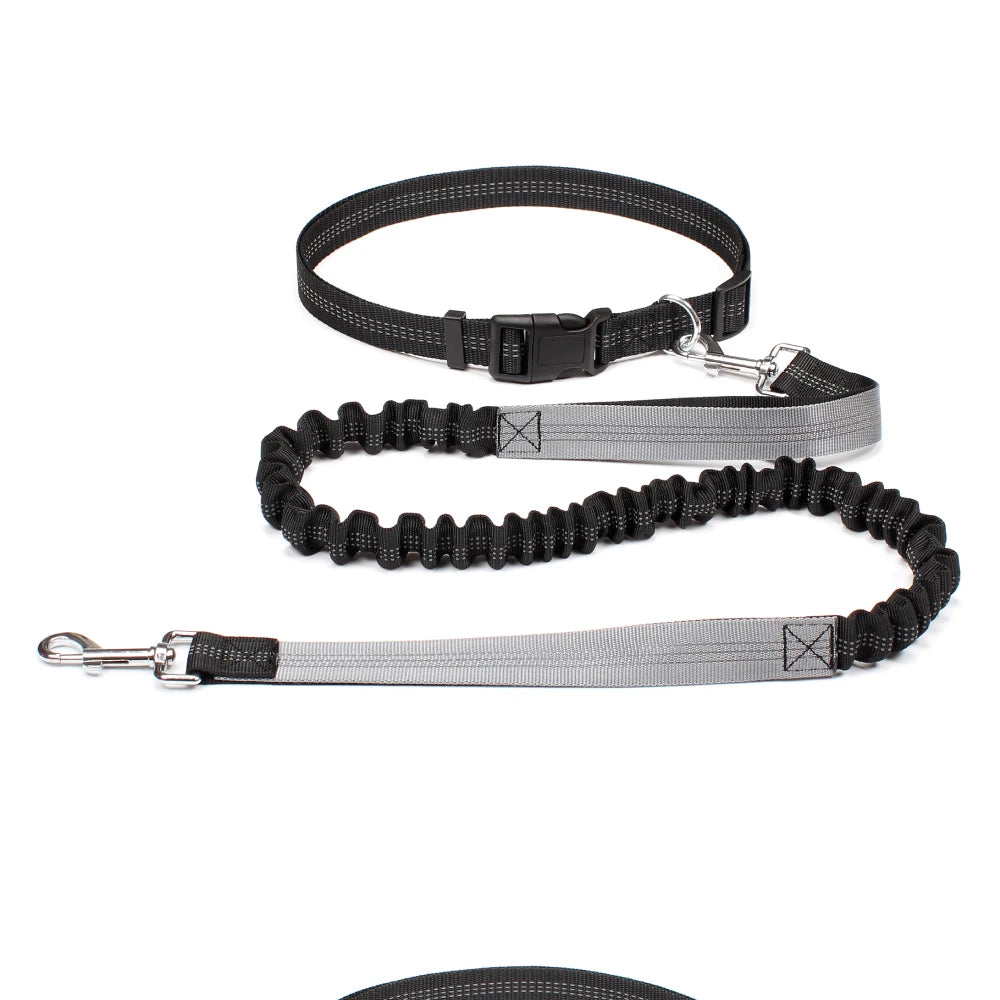 Waist-Belt Dog Leash Set with Bungee Sections