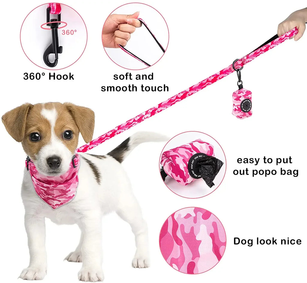 Printed Dog Harness & Coordinating Walking Accessory Set