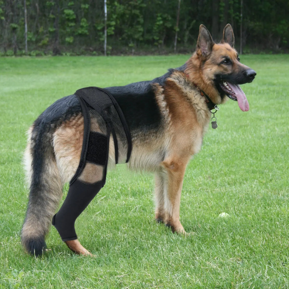 Adjustable Dog Leg Wrap with Mesh Connecting Strap