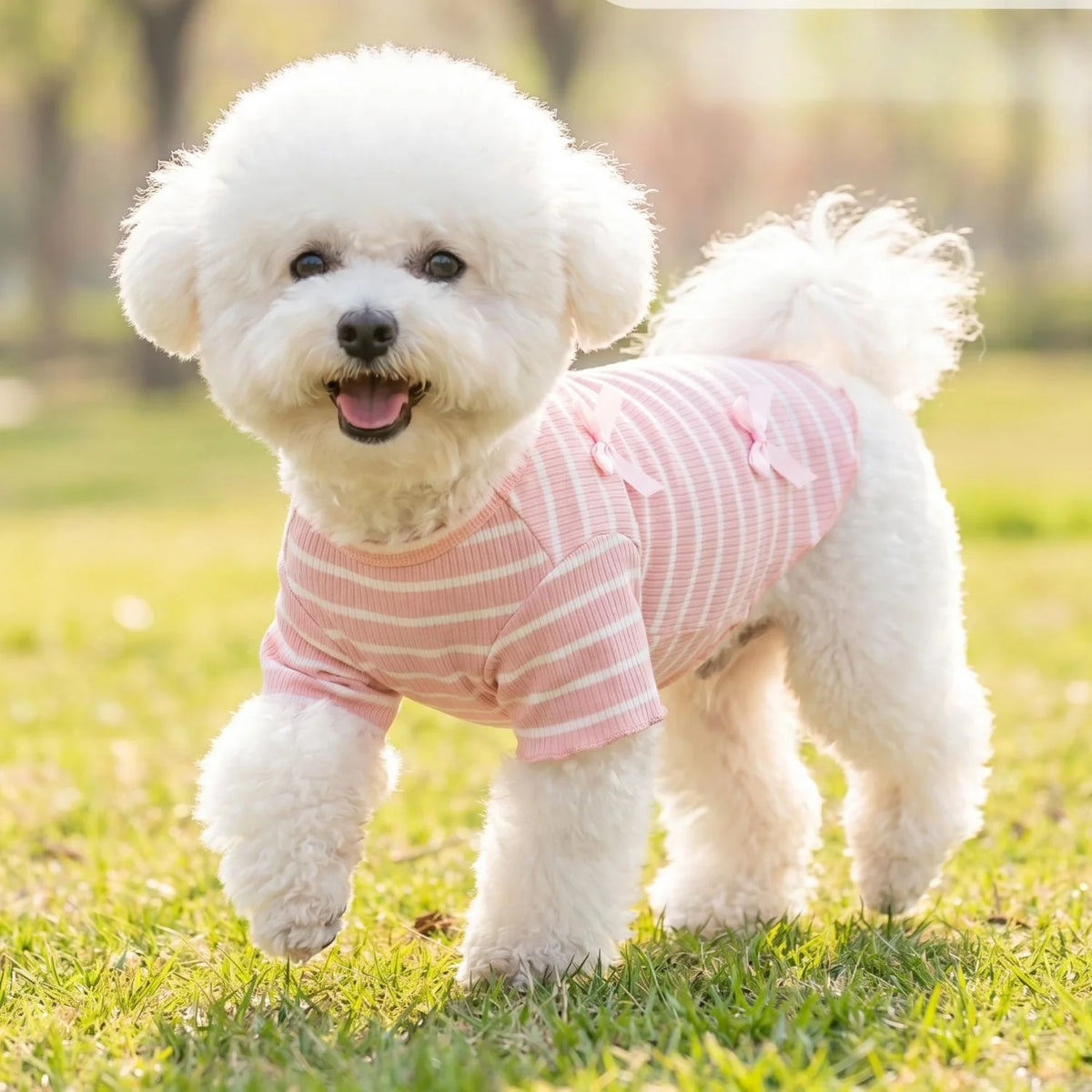 Striped Ribbed Pet T-Shirt with Ribbon Bows