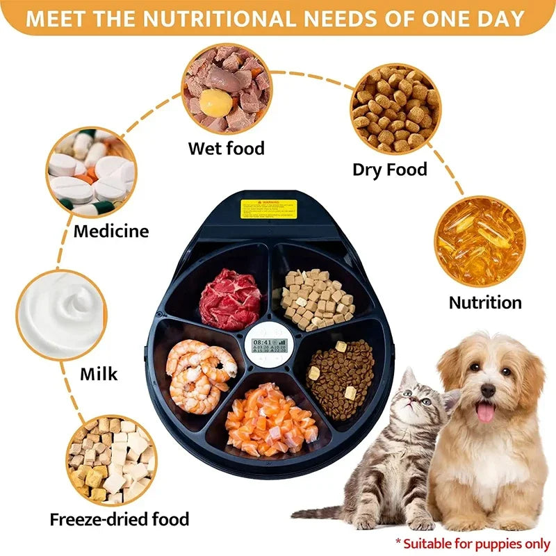 5-Compartment Timed Pet Feeder with Cooling, EU Plug 220V