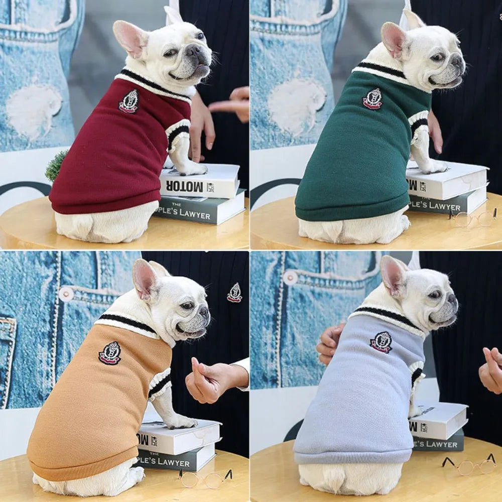 Varsity-Style V-Neck Pet Sweater