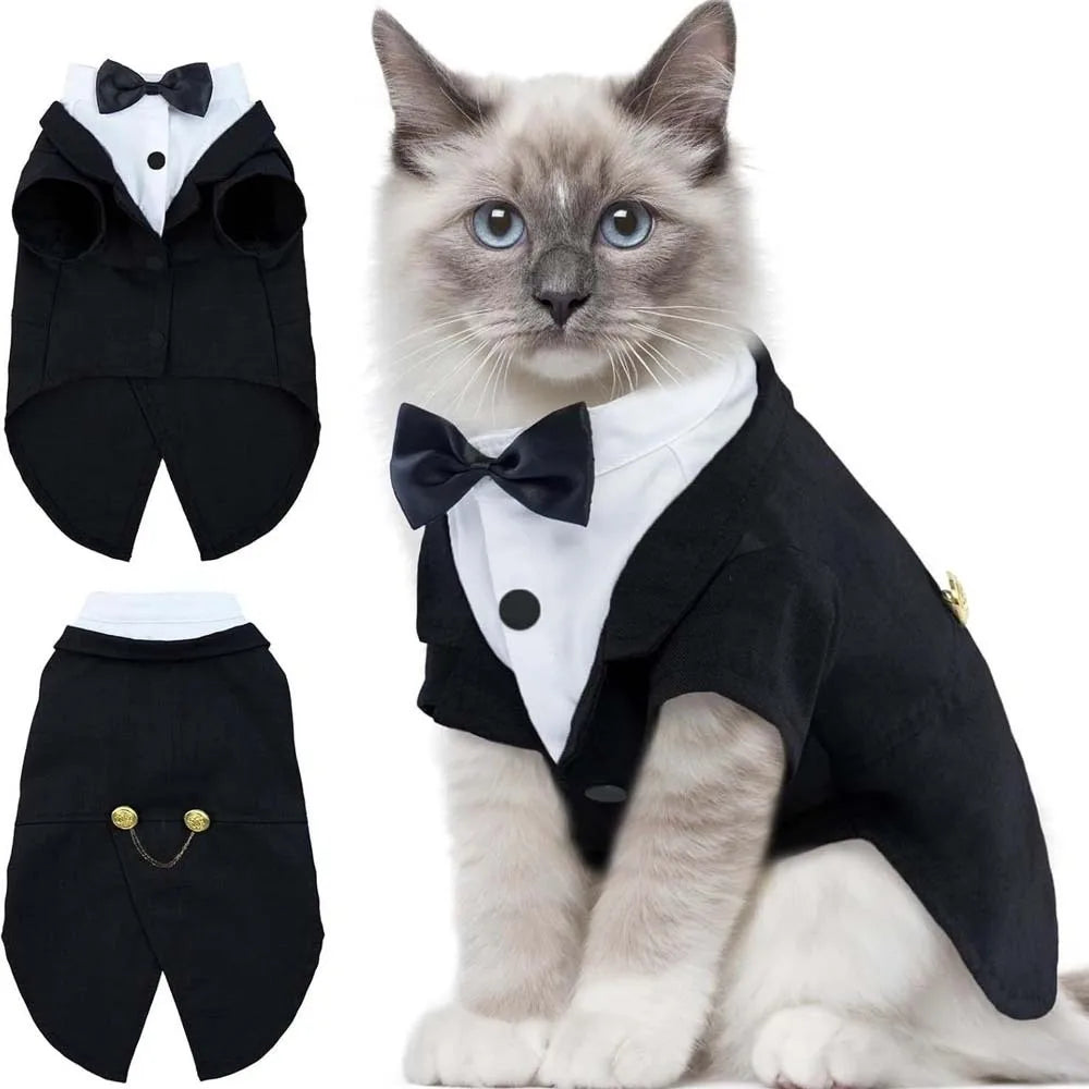 Bow-Tie Cat Tuxedo in Black or Grey