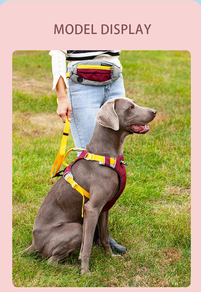 Adjustable Padded Nylon Dog Harness with Reflective Details
