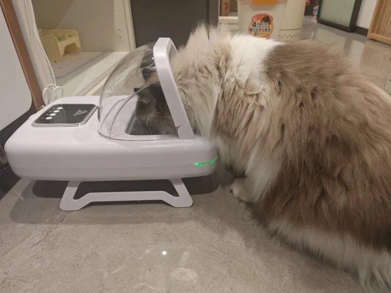1.5L RFID Pet Feeder with Access-Control Lid