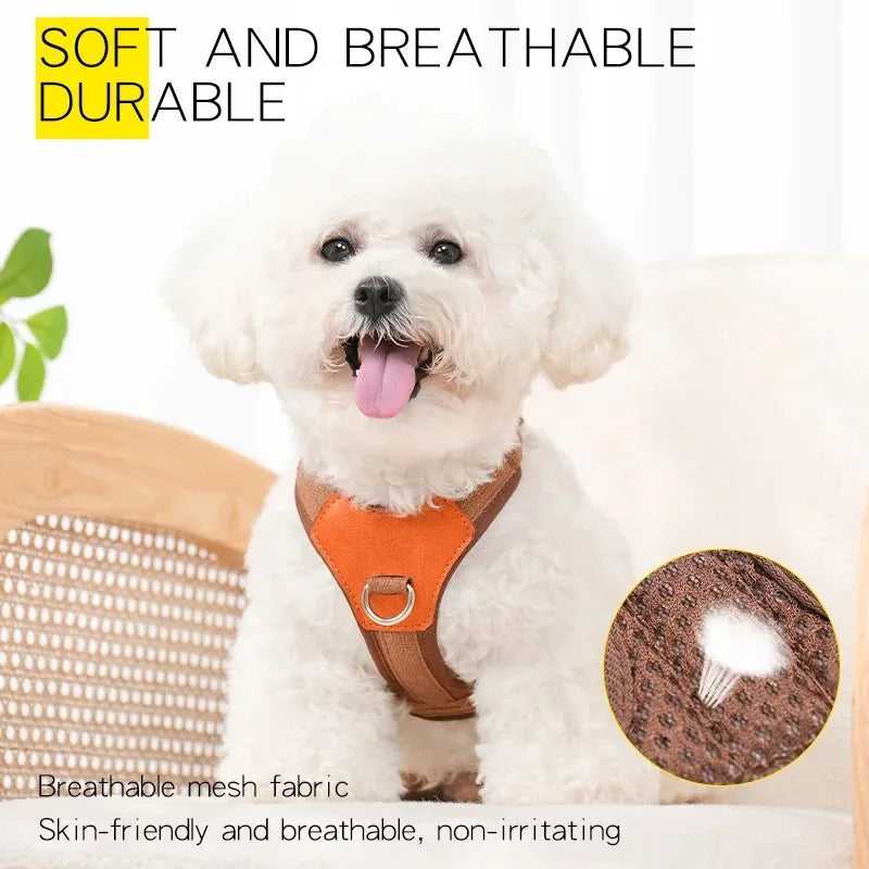 Contrast-Panel Adjustable Mesh Pet Harness