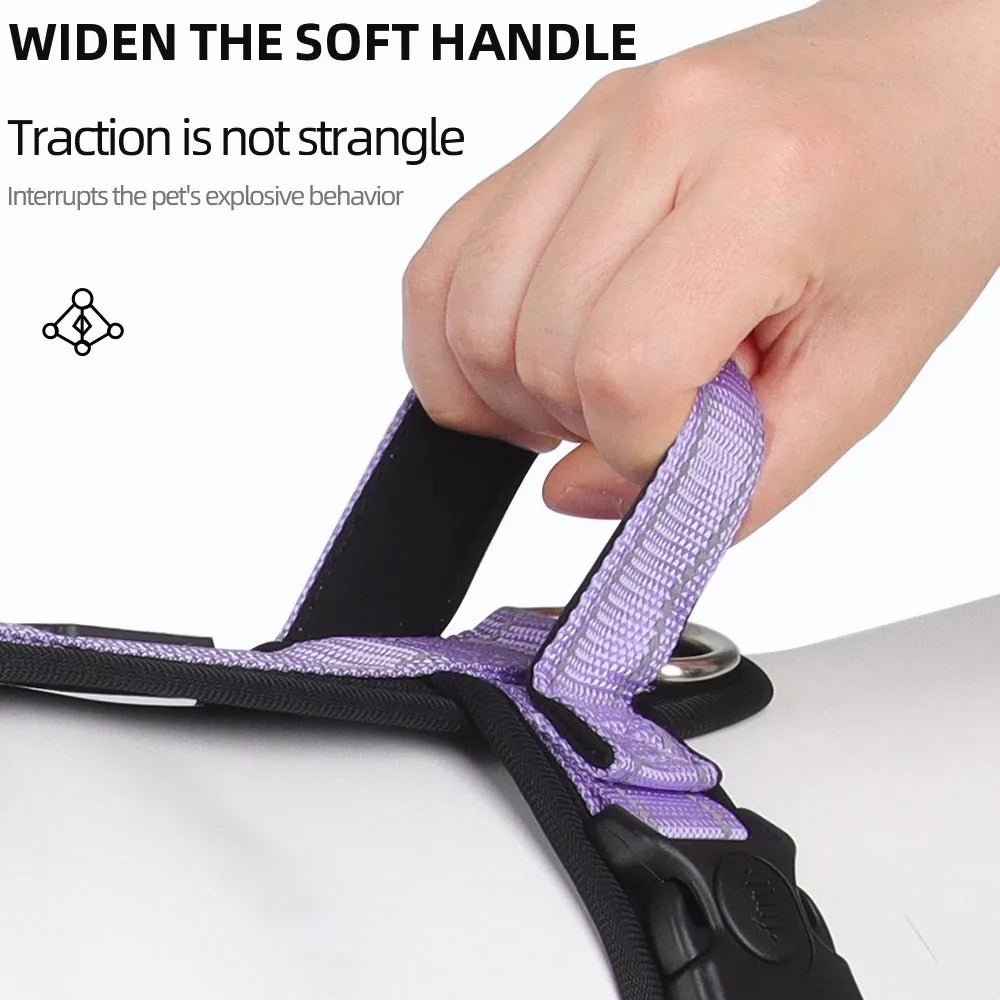 Adjustable Padded Dog Harness with Reflective Stitching