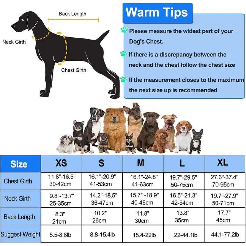 Adjustable Dog Swim Vest with Chin Panel & Grab Handle