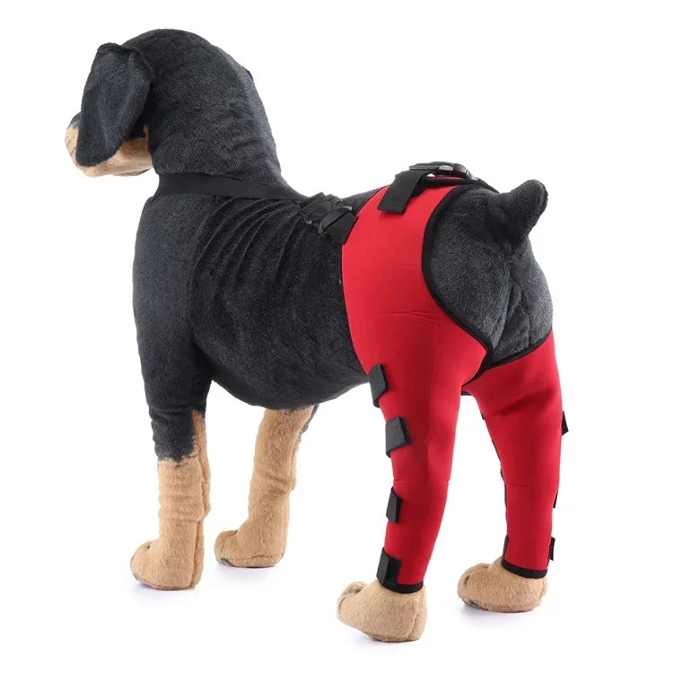 Adjustable Dog Hind-Leg Wraps with Connecting Strap, Pair